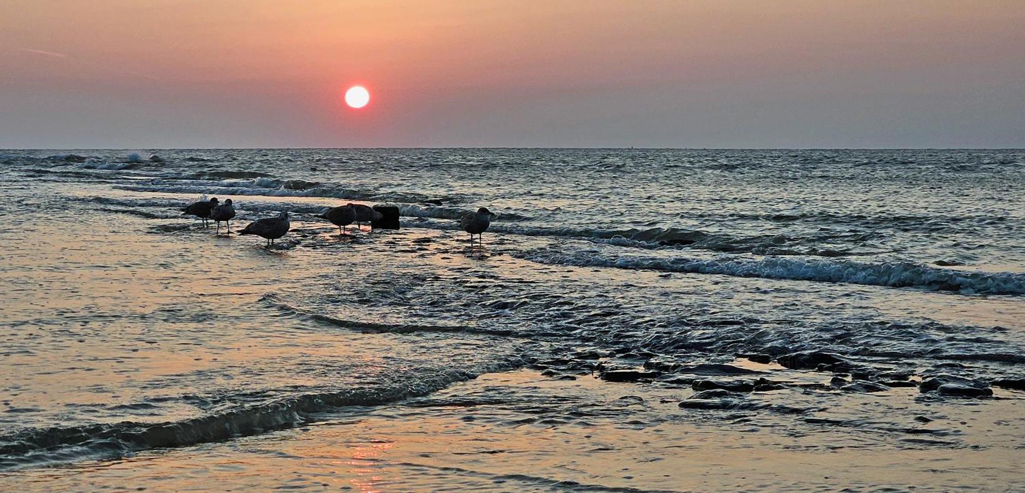 Zanddijk 113, Julianadorp Aan Zee Exterior foto
